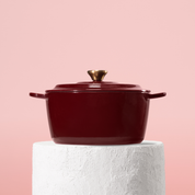 Profesionální hrnec z litiny, 24 cm, smaltovaná úprava pro snadné čištění. Vhodný na všechny typy sporáků. Barva: červená.
