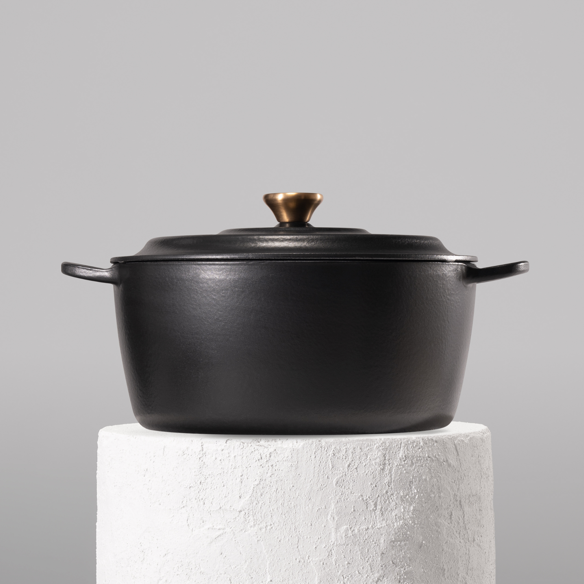 Profesionální hrnec z litiny, 28 cm, smaltovaná úprava pro snadné čištění. Vhodný na všechny typy sporáků. Barva: černá.